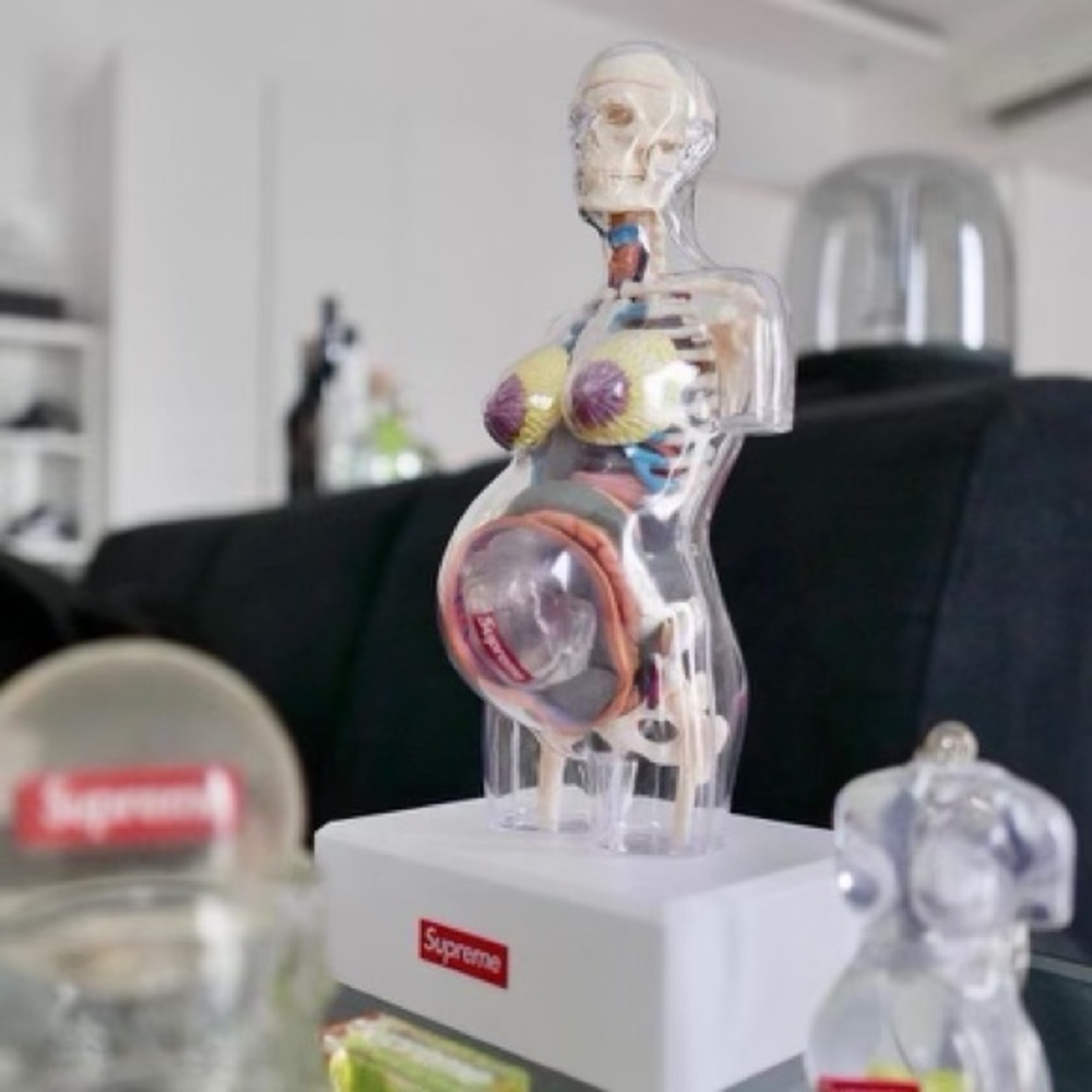 Supreme Female Anatomy Model Pregnant woman, perfect condition. No box